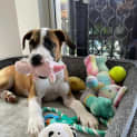Photo of Maisey