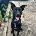 Photo of Jet
