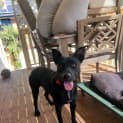 Photo of Jet