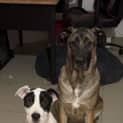 Photo of Lilith (Formerly Tiffany)
