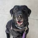 Photo of Maggie