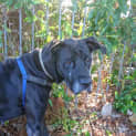 Photo of Coco