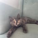 Photo of Marlo