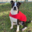 Photo of Marty
