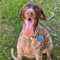 Photo of Holly