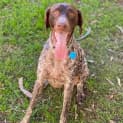 Photo of Holly