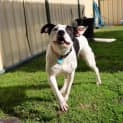 Photo of Lucy