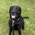 Photo of Maggie