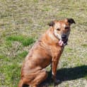 Photo of Halle