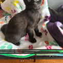 Photo of Issy
