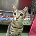Photo of Velma