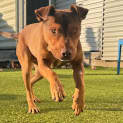 Photo of Doug