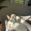 Photo of Margot