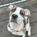 Photo of Missy
