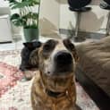 Photo of Chloe