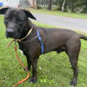 Photo of Chito