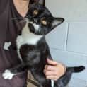 Photo of Kit