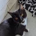 Photo of Kit