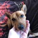 Photo of Tilly