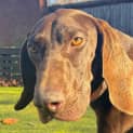 Photo of Murphy