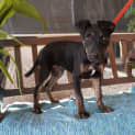 Photo of Elwood