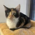 Photo of Trudy