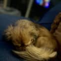 Photo of Lexie
