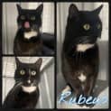Photo of Rubeus