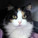 Photo of Ramona