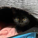 Photo of Kit Kat