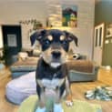 Photo of Ketchup