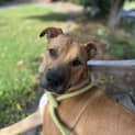 Photo of Marley