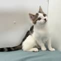 Photo of Cleo Located In Preston