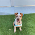 Photo of Bingo