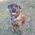 Photo of Lilly