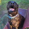 Photo of Lilly