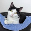 Photo of Estella
