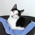 Photo of Estella