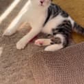 Photo of Jasper