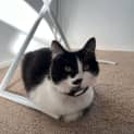 Photo of Mimi