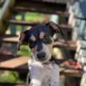 Photo of Turbo