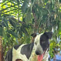 Photo of Tayla 