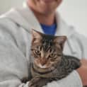 Photo of Potter