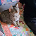 Photo of Miro
