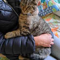 Photo of Miro
