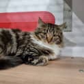 Photo of Betty