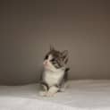 Photo of Daisy