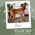 Photo of Remi