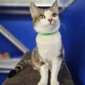 Photo of Kiki