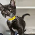Photo of Sugar